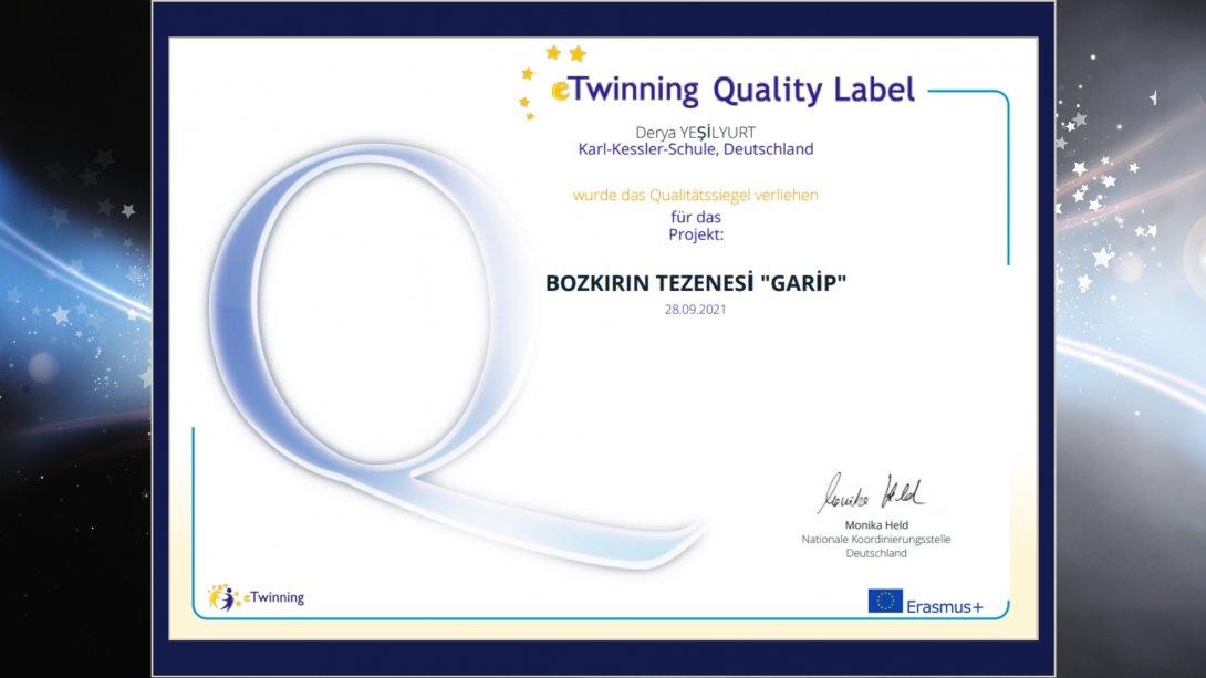 Öğretmenlerimiz Derya Yeşilyurt (Göppingen 2) ve Bora Yağrı'nın (Heilbronn) eTwinning Projesi Kalite Etiketi Ödülü aldı.
